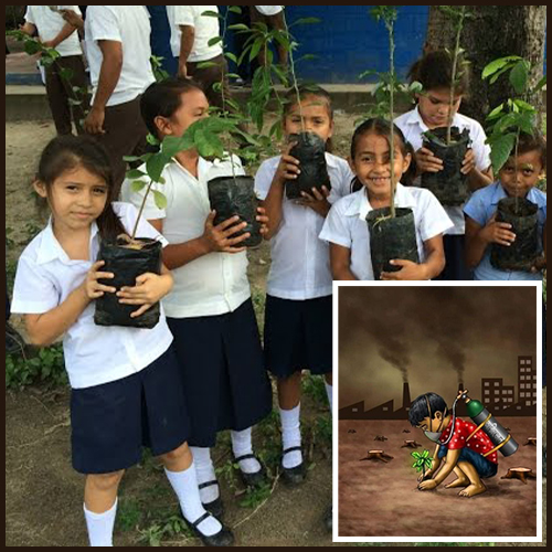 services